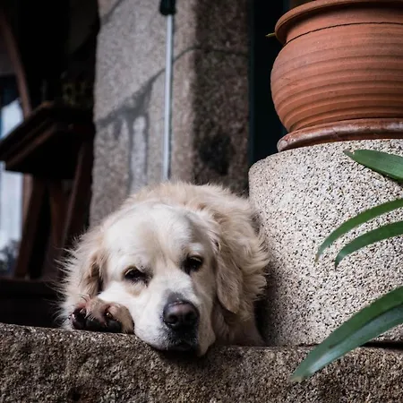 Casa De Louredo * Paredes (Porto)