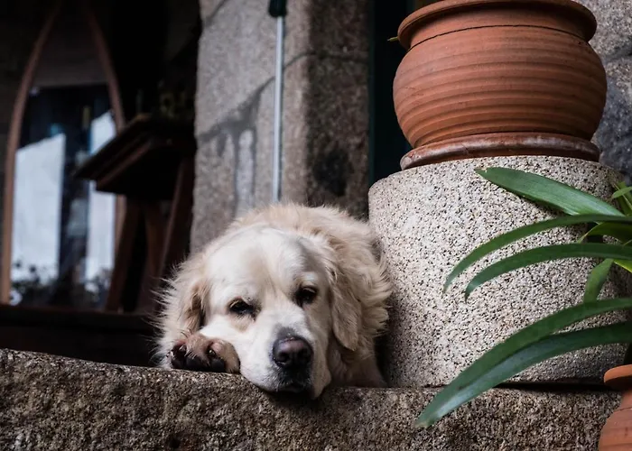Casa De Louredo * Paredes (Porto)